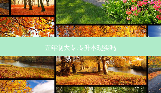 五年制大专,专升本现实吗-第1张图片-天智网 五年制大专,专升本现实吗-第1张图片-天智网