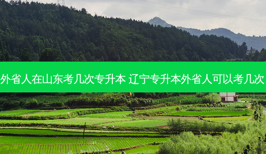 外省人在山东考几次专升本 辽宁专升本外省人可以考几次-第1张图片-天智网 外省人在山东考几次专升本 辽宁专升本外省人可以考几次-第1张图片-天智网