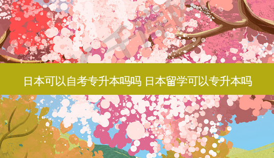 日本可以自考专升本吗吗 日本留学可以专升本吗-第1张图片-天智网 日本可以自考专升本吗吗 日本留学可以专升本吗-第1张图片-天智网