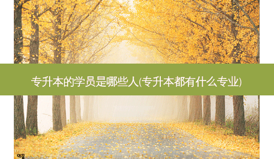 专升本的学员是哪些人(专升本都有什么专业)-第1张图片-天智网 专升本的学员是哪些人(专升本都有什么专业)-第1张图片-天智网