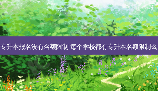 专升本报名没有名额限制 每个学校都有专升本名额限制么-第1张图片-天智网 专升本报名没有名额限制 每个学校都有专升本名额限制么-第1张图片-天智网