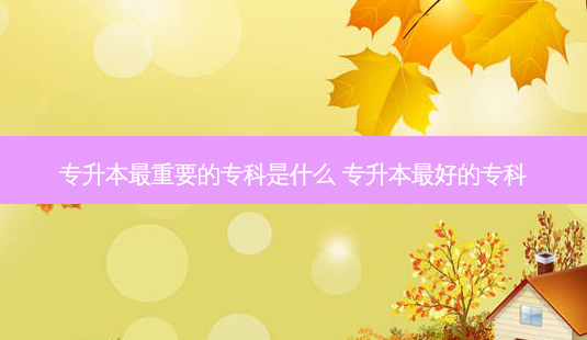 专升本 *** 重要的专科是什么 专升本 *** 好的专科-第1张图片-天智网 专升本 *** 重要的专科是什么 专升本 *** 好的专科-第1张图片-天智网
