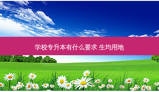 学校专升本有什么要求 生均用地-第1张图片-天智网 学校专升本有什么要求 生均用地-第1张图片-天智网