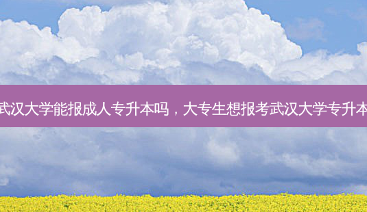 武汉大学能报成人专升本吗,大专生想报考武汉大学专升本-第1张图片-天智网 武汉大学能报成人专升本吗,大专生想报考武汉大学专升本-第1张图片-天智网