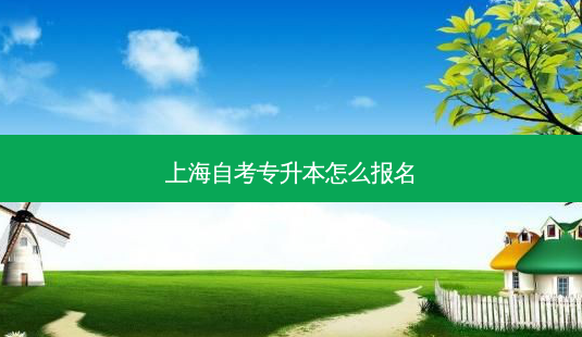 上海自考专升本怎么报名-第1张图片-天智网 上海自考专升本怎么报名-第1张图片-天智网