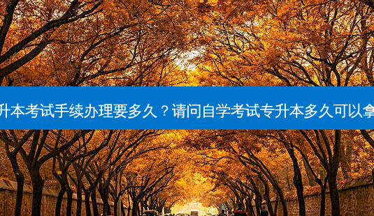 专升本考试手续办理要多久?请问自学考试专升本多久可以拿证-第1张图片-天智网 专升本考试手续办理要多久?请问自学考试专升本多久可以拿证-第1张图片-天智网
