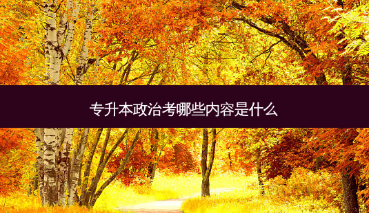 专升本政治考哪些内容是什么-第1张图片-天智网 专升本政治考哪些内容是什么-第1张图片-天智网