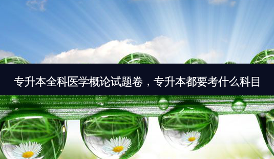 专升本全科医学概论试题卷,专升本都要考什么科目-第1张图片-天智网 专升本全科医学概论试题卷,专升本都要考什么科目-第1张图片-天智网