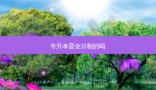 专升本是全日制的吗-第1张图片-天智网 专升本是全日制的吗-第1张图片-天智网