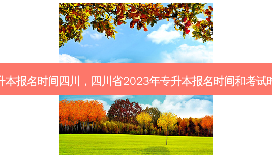 专升本报名时间四川，四川省2023年专升本报名时间和考试时间-第1张图片-汇成专升本网