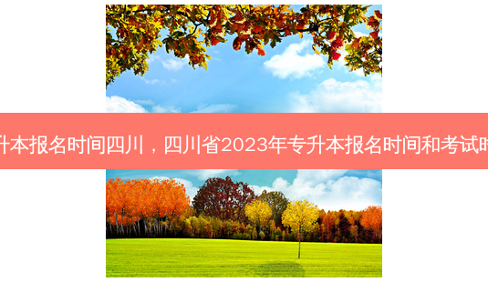 专升本报名时间四川,四川省2023年专升本报名时间和考试时间-第1张图片-天智网 专升本报名时间四川,四川省2023年专升本报名时间和考试时间-第1张图片-天智网
