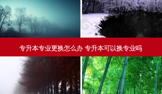 专升本专业更换怎么办 专升本可以换专业吗-第1张图片-天智网 专升本专业更换怎么办 专升本可以换专业吗-第1张图片-天智网