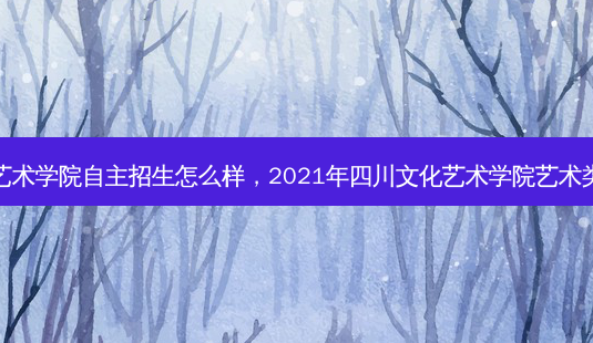 四川文化艺术学院自主招生怎么样，2021年四川文化艺术学院艺术类招生简章-第1张图片-汇成专升本网