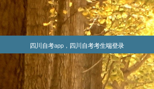 四川自考app，四川自考考生端登录-第1张图片-汇成专升本网