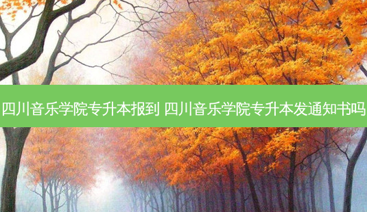 四川音乐学院专升本报到 四川音乐学院专升本发通知书吗-第1张图片-天智网 四川音乐学院专升本报到 四川音乐学院专升本发通知书吗-第1张图片-天智网
