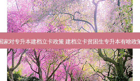 国家对专升本建档立卡政策 建档立卡贫困生专升本有啥政策-第1张图片-天智网 国家对专升本建档立卡政策 建档立卡贫困生专升本有啥政策-第1张图片-天智网