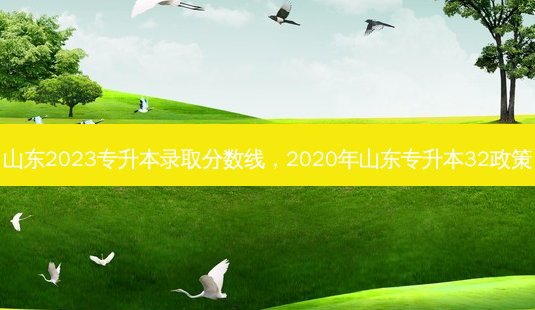 山东2023专升本录取分数线,2020年山东专升本32政策-第1张图片-天智网 山东2023专升本录取分数线,2020年山东专升本32政策-第1张图片-天智网