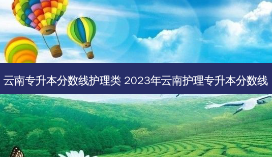 云南专升本分数线护理类 2023年云南护理专升本分数线-第1张图片-天智网 云南专升本分数线护理类 2023年云南护理专升本分数线-第1张图片-天智网