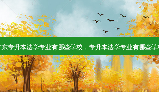广东专升本法学专业有哪些学校,专升本法学专业有哪些学校-第1张图片-天智网 广东专升本法学专业有哪些学校,专升本法学专业有哪些学校-第1张图片-天智网