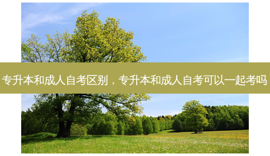 专升本和成人自考区别,专升本和成人自考可以一起考吗-第1张图片-天智网 专升本和成人自考区别,专升本和成人自考可以一起考吗-第1张图片-天智网