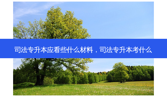 司法专升本应看些什么材料,司法专升本考什么-第1张图片-天智网 司法专升本应看些什么材料,司法专升本考什么-第1张图片-天智网