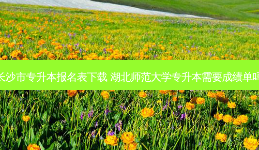 长沙市专升本报名表下载 湖北师范大学专升本需要成绩单吗-第1张图片-天智网 长沙市专升本报名表下载 湖北师范大学专升本需要成绩单吗-第1张图片-天智网