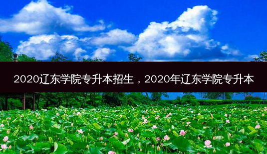 2020辽东学院专升本招生,2020年辽东学院专升本-第1张图片-天智网 2020辽东学院专升本招生,2020年辽东学院专升本-第1张图片-天智网
