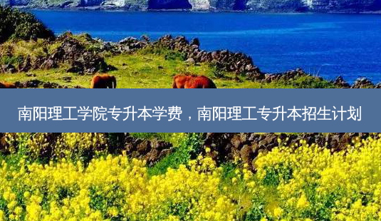 南阳理工学院专升本学费,南阳理工专升本招生计划-第1张图片-天智网 南阳理工学院专升本学费,南阳理工专升本招生计划-第1张图片-天智网