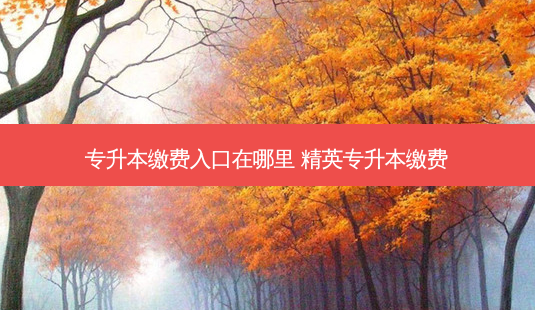 专升本缴费入口在哪里 精英专升本缴费-第1张图片-天智网 专升本缴费入口在哪里 精英专升本缴费-第1张图片-天智网
