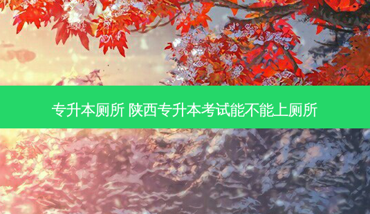 专升本厕所 陕西专升本考试能不能上厕所-第1张图片-天智网 专升本厕所 陕西专升本考试能不能上厕所-第1张图片-天智网