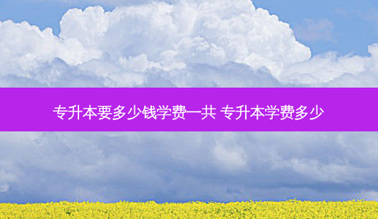 专升本要多少钱学费一共 专升本学费多少-第1张图片-天智网 专升本要多少钱学费一共 专升本学费多少-第1张图片-天智网