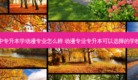 中专升本学动漫专业怎么样 动漫专业专升本可以选择的学校-第1张图片-天智网 中专升本学动漫专业怎么样 动漫专业专升本可以选择的学校-第1张图片-天智网