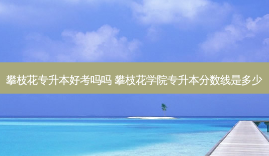 攀枝花专升本好考吗吗 攀枝花学院专升本分数线是多少-第1张图片-天智网 攀枝花专升本好考吗吗 攀枝花学院专升本分数线是多少-第1张图片-天智网