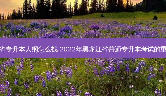 黑龙江省专升本大纲怎么找 2022年黑龙江省普通专升本考试的重要信息-第1张图片-天智网 黑龙江省专升本大纲怎么找 2022年黑龙江省普通专升本考试的重要信息-第1张图片-天智网