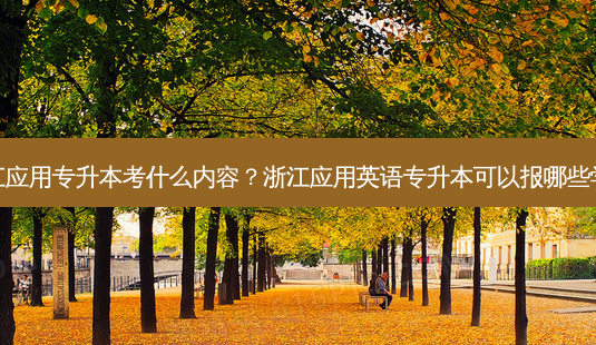 浙江应用专升本考什么内容?浙江应用英语专升本可以报哪些学校-第1张图片-天智网 浙江应用专升本考什么内容?浙江应用英语专升本可以报哪些学校-第1张图片-天智网