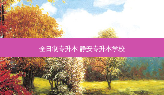 全日制专升本 静安专升本学校-第1张图片-天智网 全日制专升本 静安专升本学校-第1张图片-天智网
