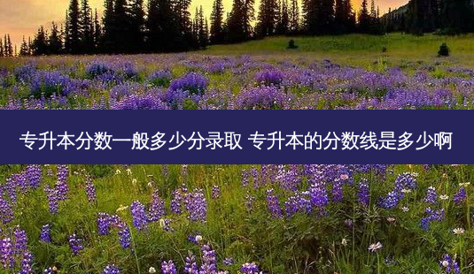 专升本分数一般多少分录取 专升本的分数线是多少啊-第1张图片-天智网 专升本分数一般多少分录取 专升本的分数线是多少啊-第1张图片-天智网