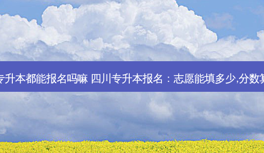 四川专升本都能报名吗嘛 四川专升本报名:志愿能填多少,分数算不算-第1张图片-天智网 四川专升本都能报名吗嘛 四川专升本报名:志愿能填多少,分数算不算-第1张图片-天智网