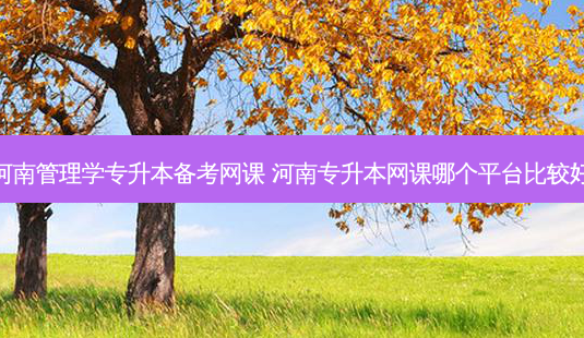 河南管理学专升本备考网课 河南专升本网课哪个平台比较好-第1张图片-天智网 河南管理学专升本备考网课 河南专升本网课哪个平台比较好-第1张图片-天智网