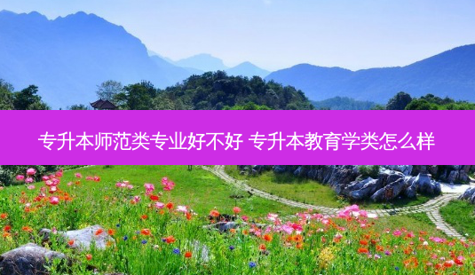 专升本师范类专业好不好 专升本教育学类怎么样-第1张图片-天智网 专升本师范类专业好不好 专升本教育学类怎么样-第1张图片-天智网