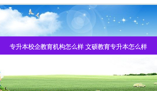 专升本校企教育机构怎么样 文硕教育专升本怎么样-第1张图片-天智网 专升本校企教育机构怎么样 文硕教育专升本怎么样-第1张图片-天智网