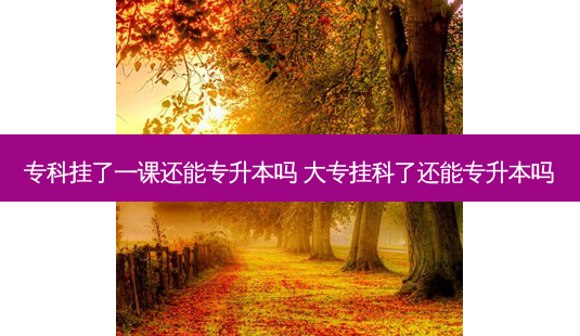 专科挂了一课还能专升本吗 大专挂科了还能专升本吗-第1张图片-天智网 专科挂了一课还能专升本吗 大专挂科了还能专升本吗-第1张图片-天智网