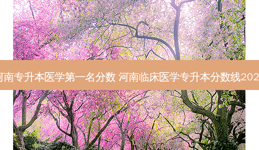 河南专升本医学之一名分数 河南临床医学专升本分数线2022-第1张图片-天智网 河南专升本医学之一名分数 河南临床医学专升本分数线2022-第1张图片-天智网