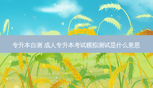 专升本自测 成人专升本考试模拟测试是什么意思-第1张图片-天智网 专升本自测 成人专升本考试模拟测试是什么意思-第1张图片-天智网