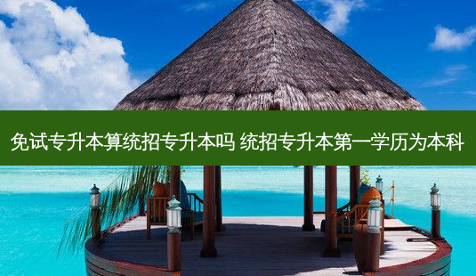 免试专升本算统招专升本吗 统招专升本之一学历为本科-第1张图片-天智网 免试专升本算统招专升本吗 统招专升本之一学历为本科-第1张图片-天智网