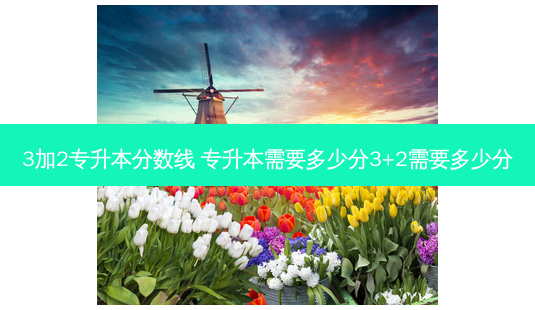 3加2专升本分数线 专升本需要多少分3+2需要多少分-第1张图片-天智网 3加2专升本分数线 专升本需要多少分3+2需要多少分-第1张图片-天智网