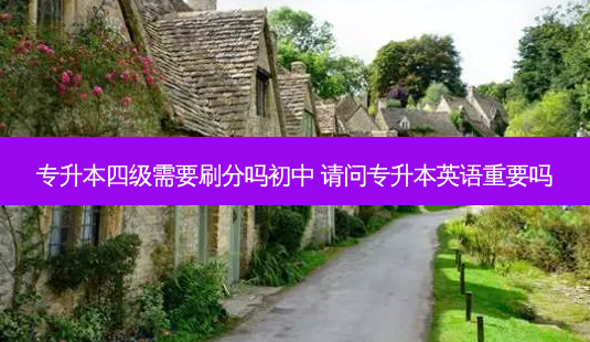 专升本四级需要刷分吗初中 请问专升本英语重要吗-第1张图片-天智网 专升本四级需要刷分吗初中 请问专升本英语重要吗-第1张图片-天智网