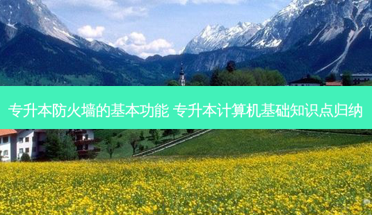 专升本防火墙的基本功能 专升本计算机基础知识点归纳-第1张图片-天智网 专升本防火墙的基本功能 专升本计算机基础知识点归纳-第1张图片-天智网