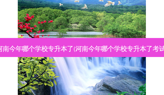 河南今年哪个学校专升本了(河南今年哪个学校专升本了考试)-第1张图片-天智网 河南今年哪个学校专升本了(河南今年哪个学校专升本了考试)-第1张图片-天智网