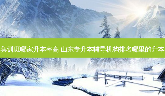 专升本集训班哪家升本率高 山东专升本辅导机构排名哪里的升本率高啊-第1张图片-天智网 专升本集训班哪家升本率高 山东专升本辅导机构排名哪里的升本率高啊-第1张图片-天智网